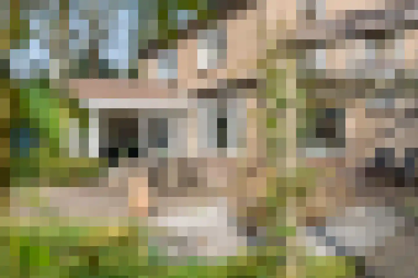 Deventerstraat 92 Vaassen thumbnail 42