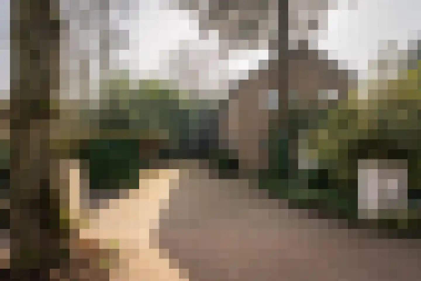 Deventerstraat 92 Vaassen thumbnail 45