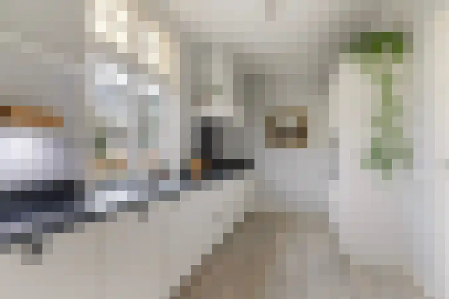 Deventerstraat 93 Vaassen thumbnail 19
