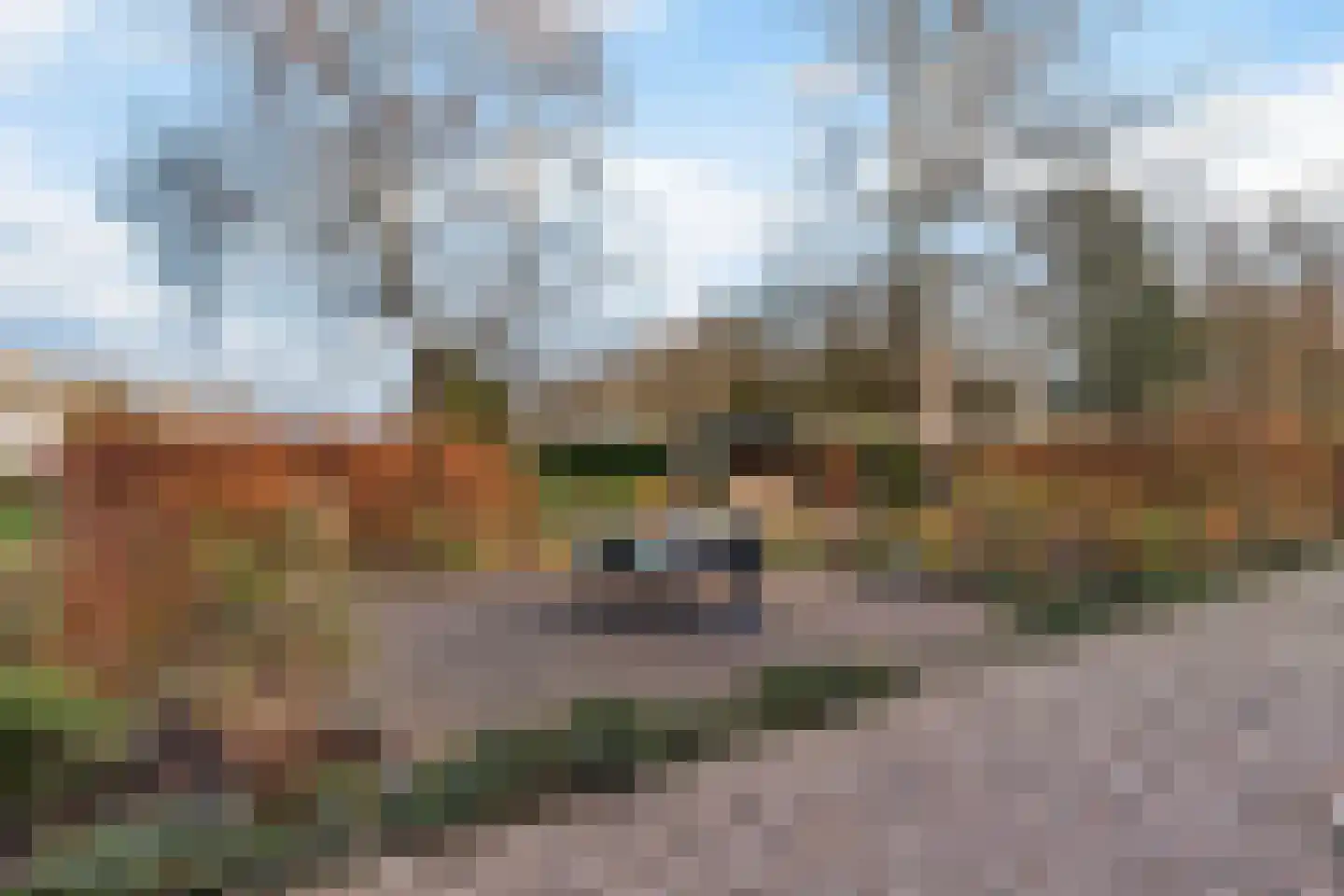 Deventerstraat 93 Vaassen thumbnail 23