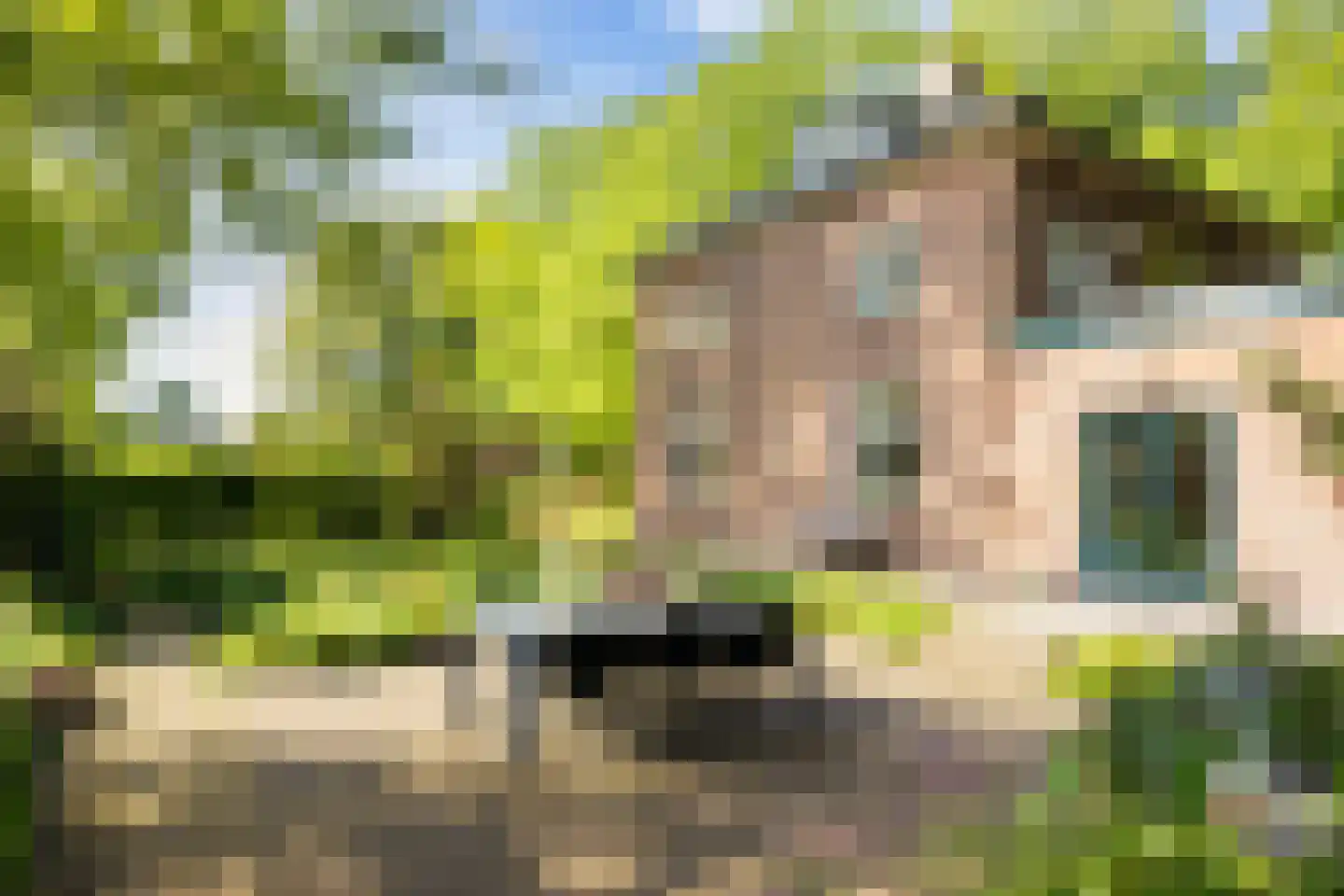 Deventerstraat 93 Vaassen thumbnail 24