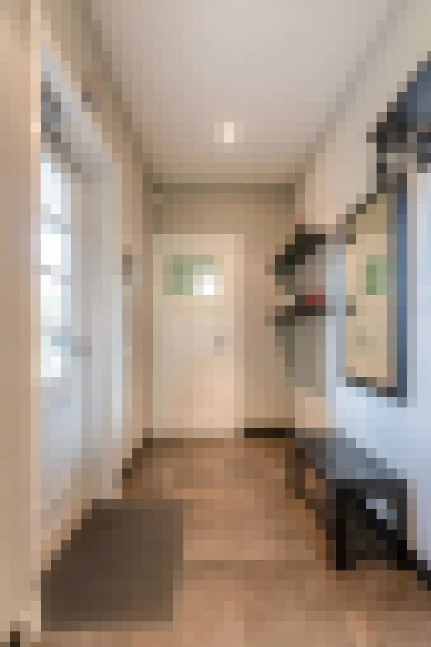 Deventerstraat 93 Vaassen thumbnail 24