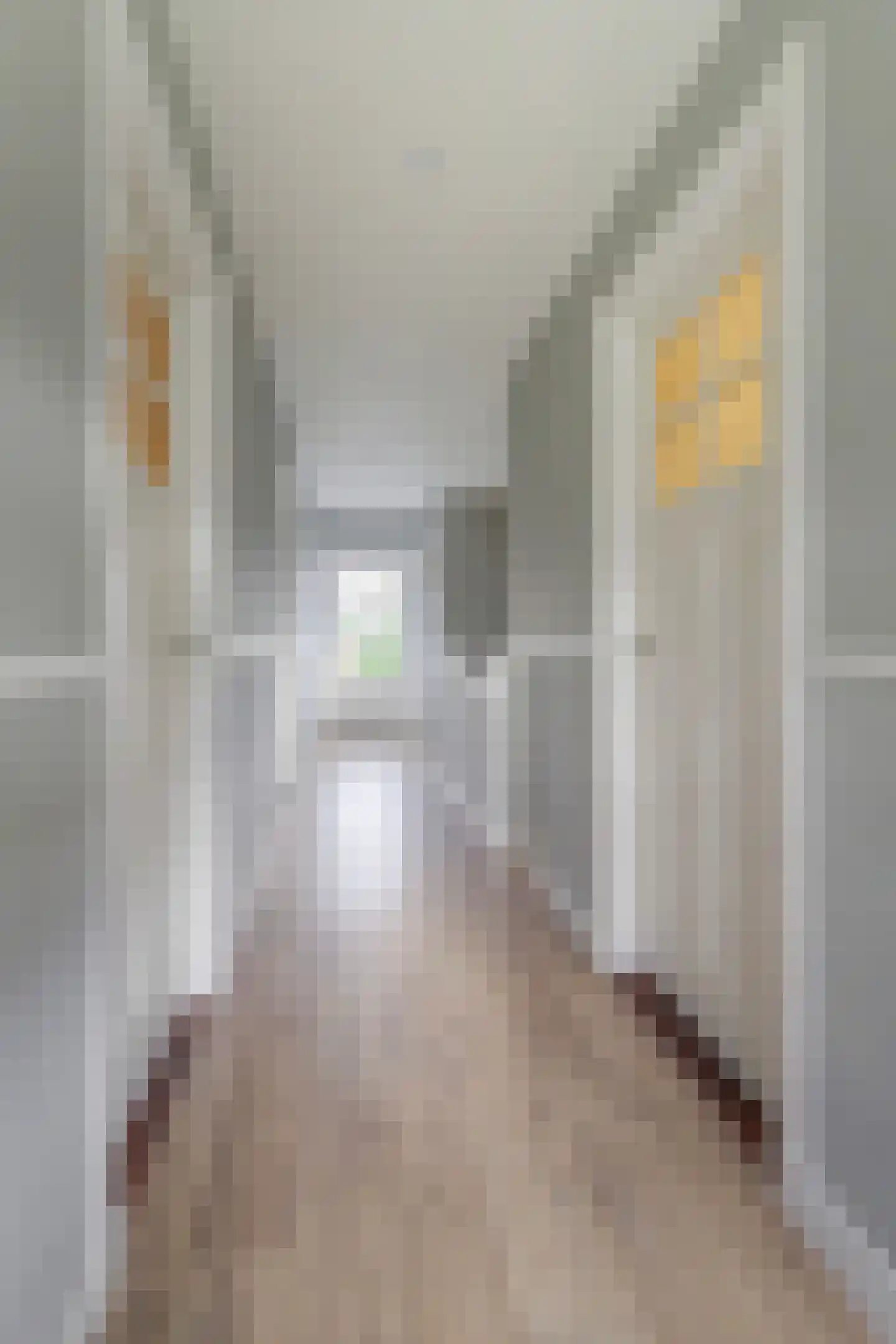 Deventerstraat 93 Vaassen thumbnail 27