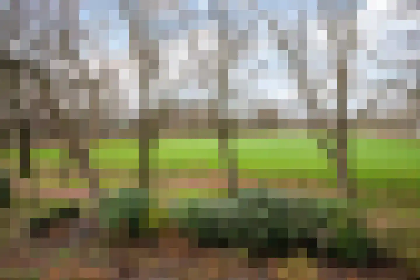 Deventerstraat 93 Vaassen thumbnail 31