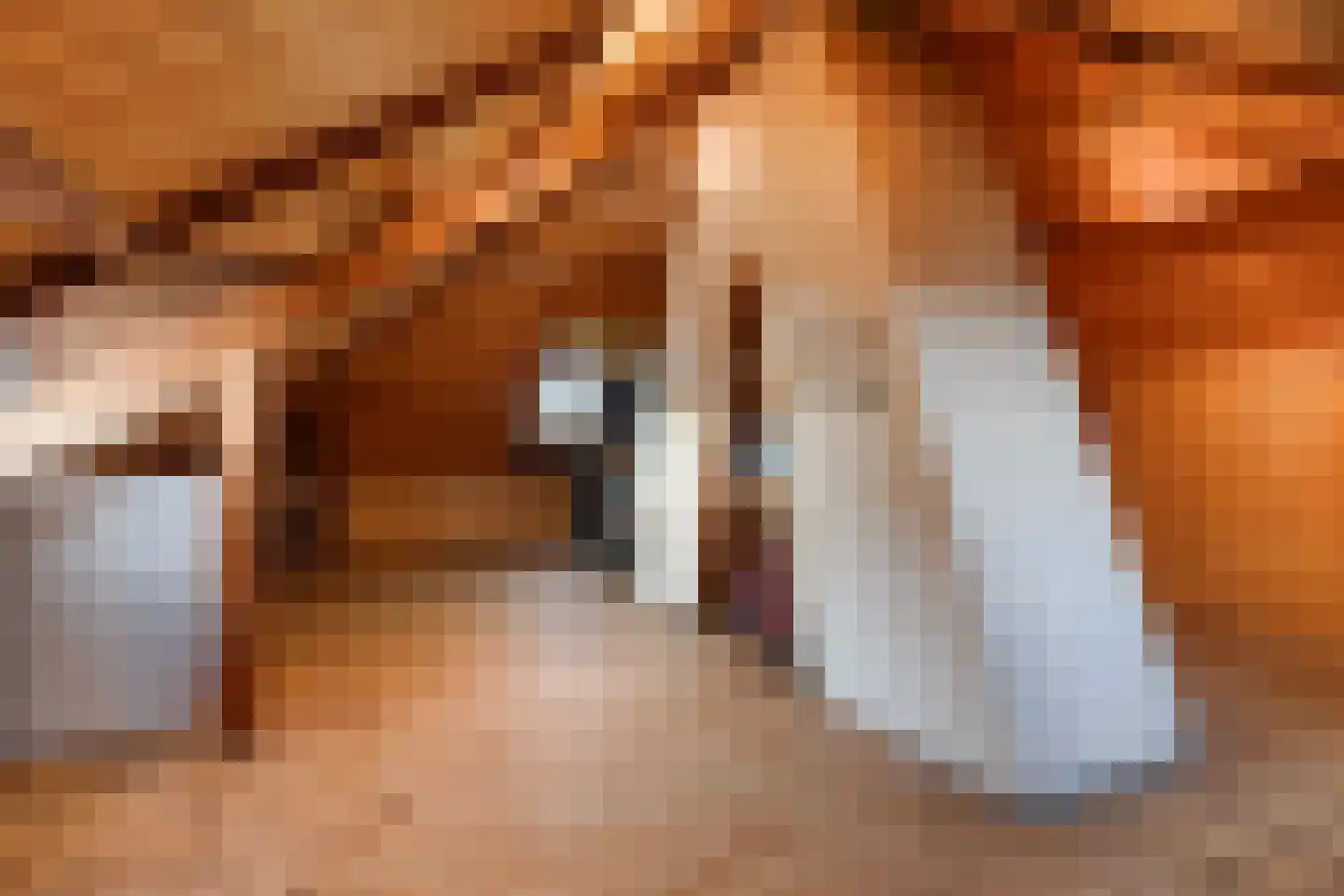 Deventerstraat 93 Vaassen thumbnail 38