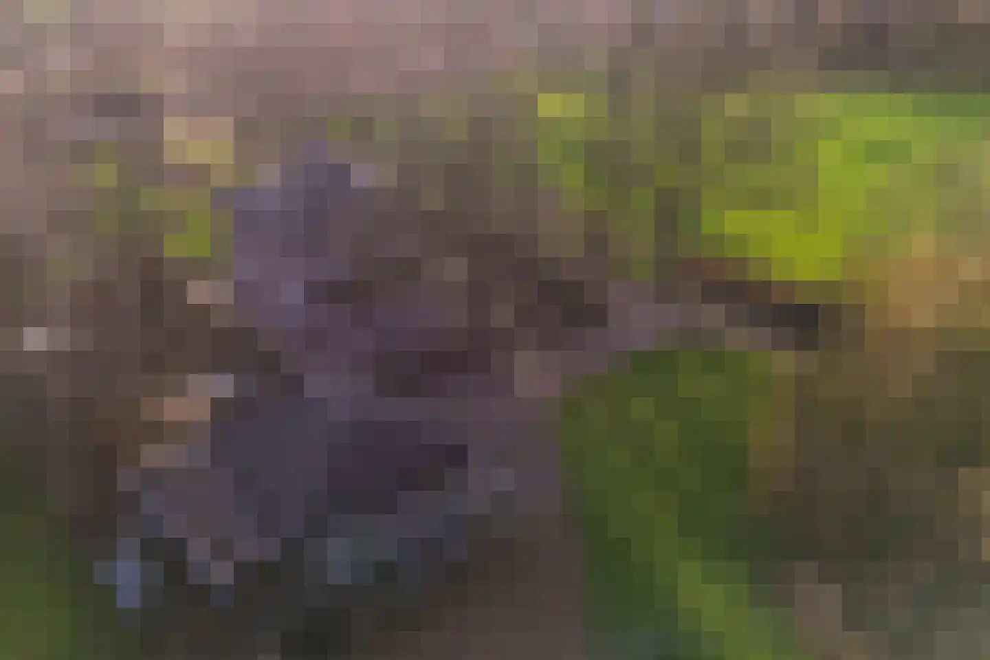 Deventerstraat 93 Vaassen thumbnail 4