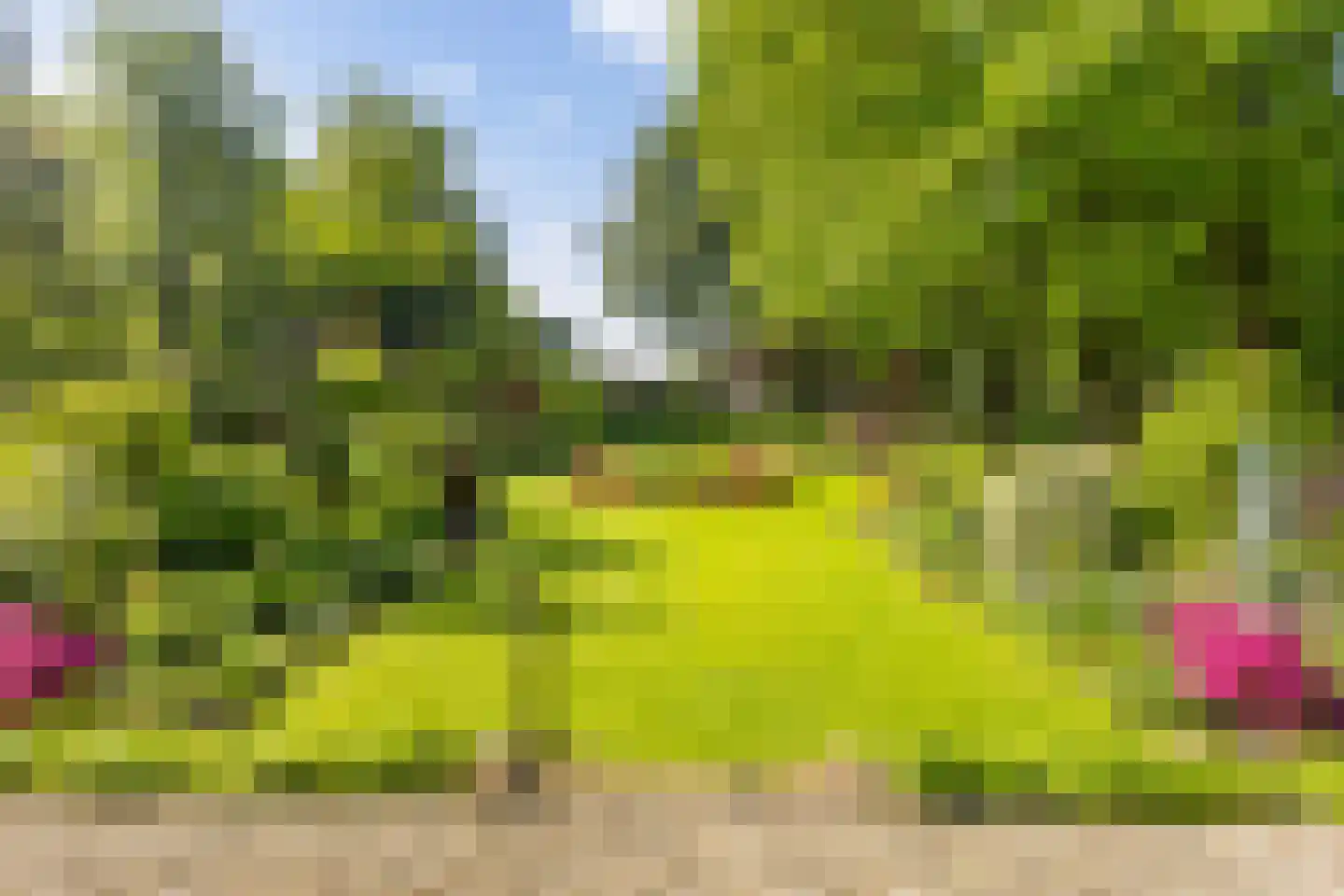 Deventerstraat 93 Vaassen thumbnail 4