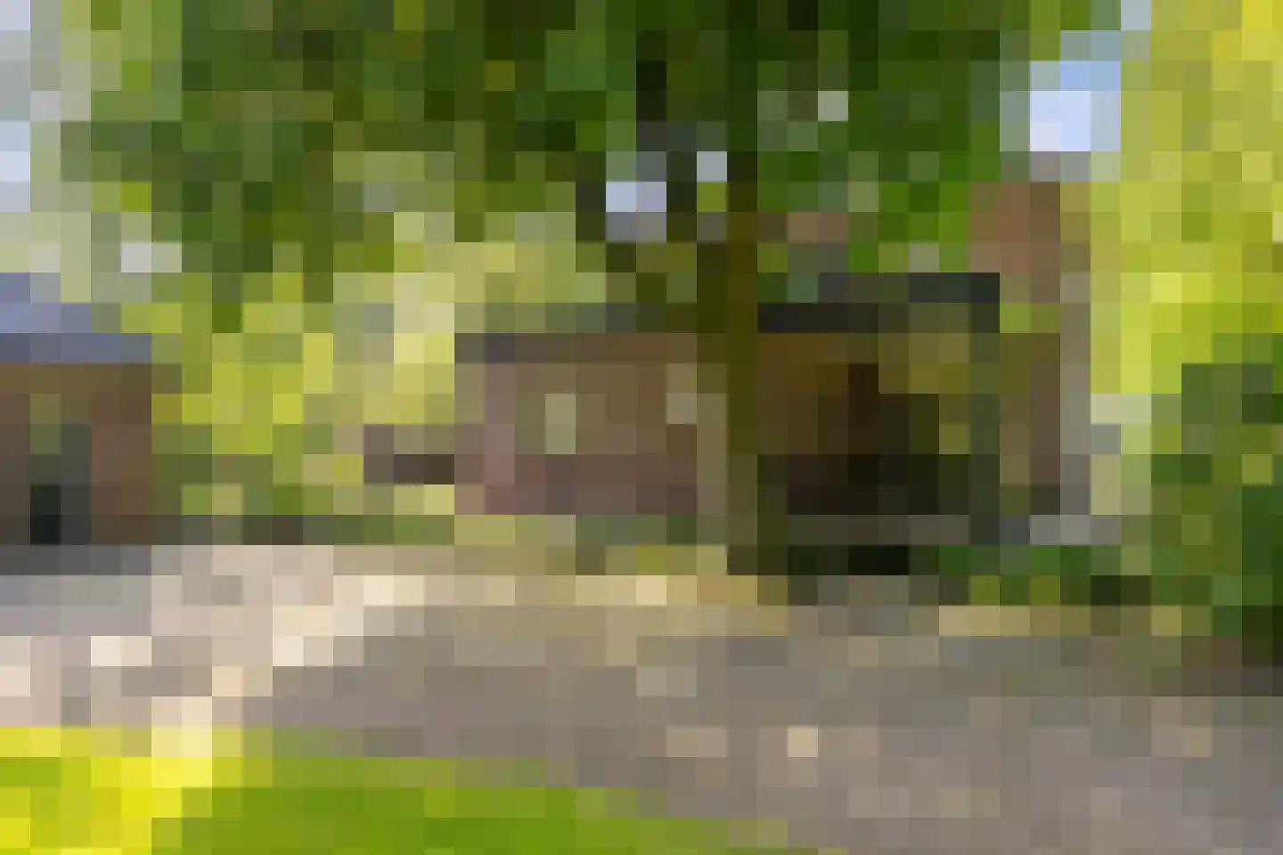 Deventerstraat 93 Vaassen thumbnail 40