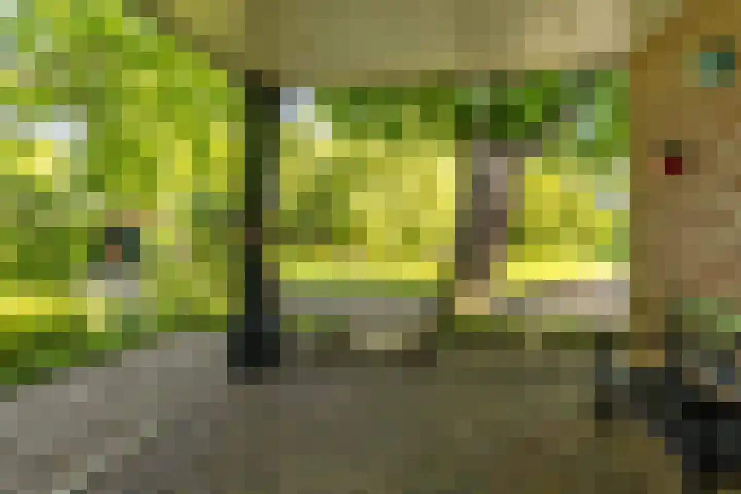 Deventerstraat 93 Vaassen thumbnail 41