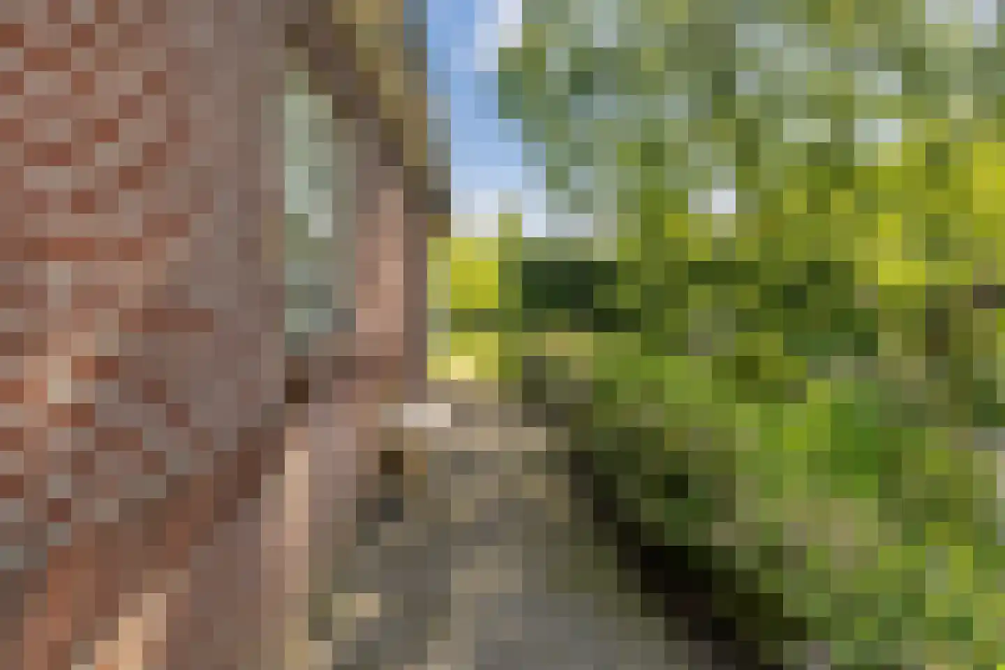Deventerstraat 93 Vaassen thumbnail 46