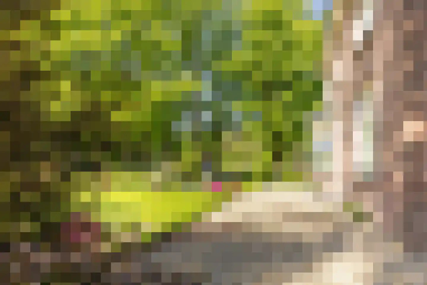 Deventerstraat 93 Vaassen thumbnail 5