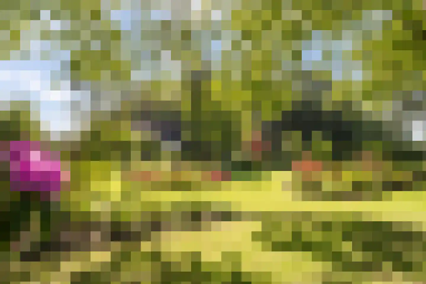 Deventerstraat 93 Vaassen thumbnail 51