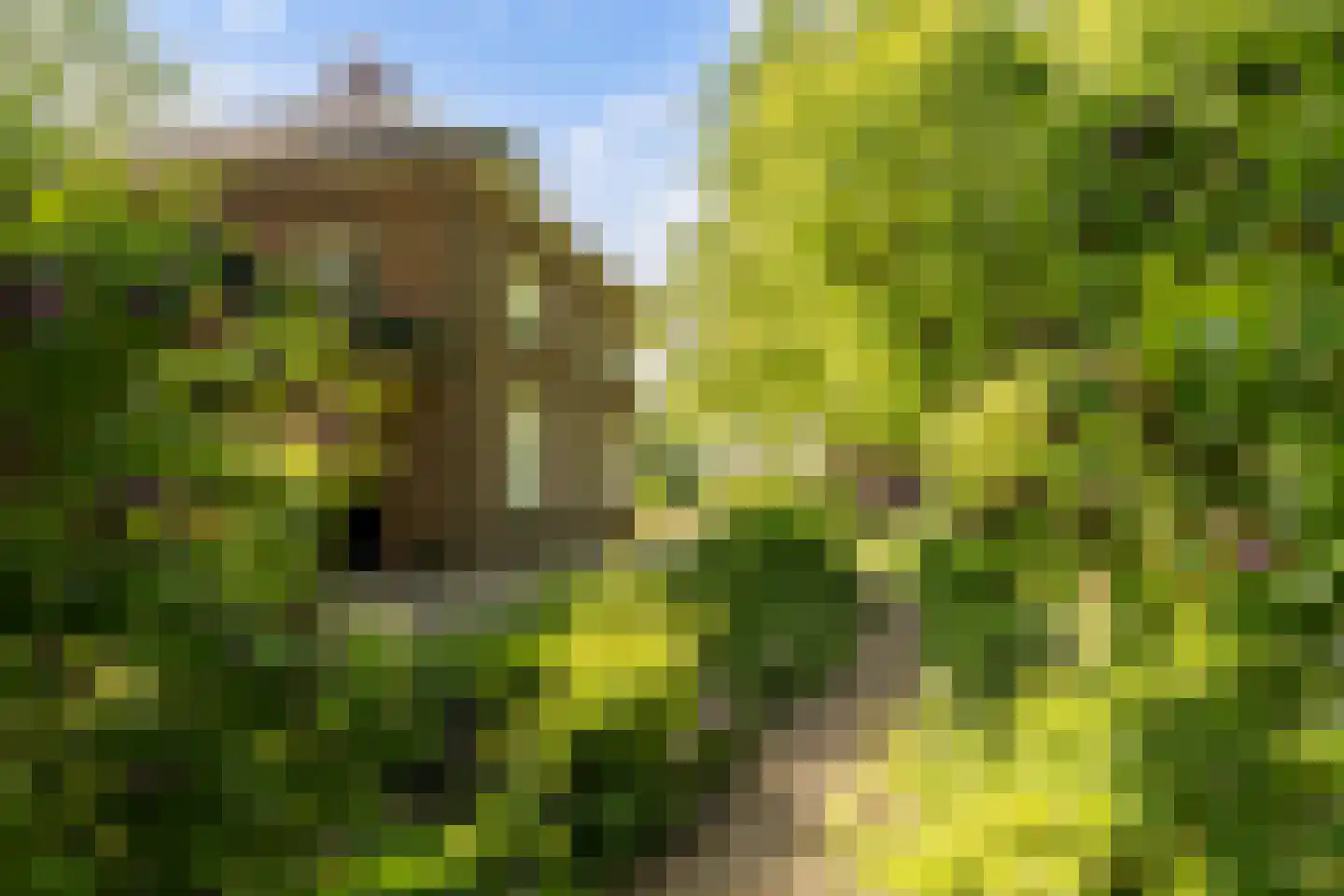 Deventerstraat 93 Vaassen thumbnail 53