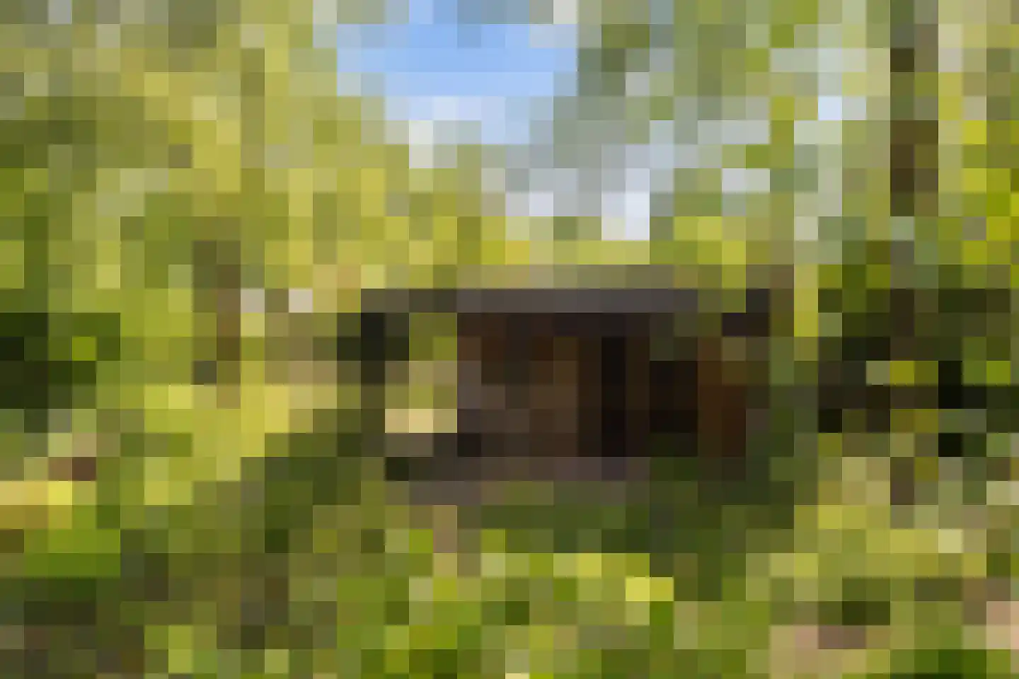 Deventerstraat 93 Vaassen thumbnail 56