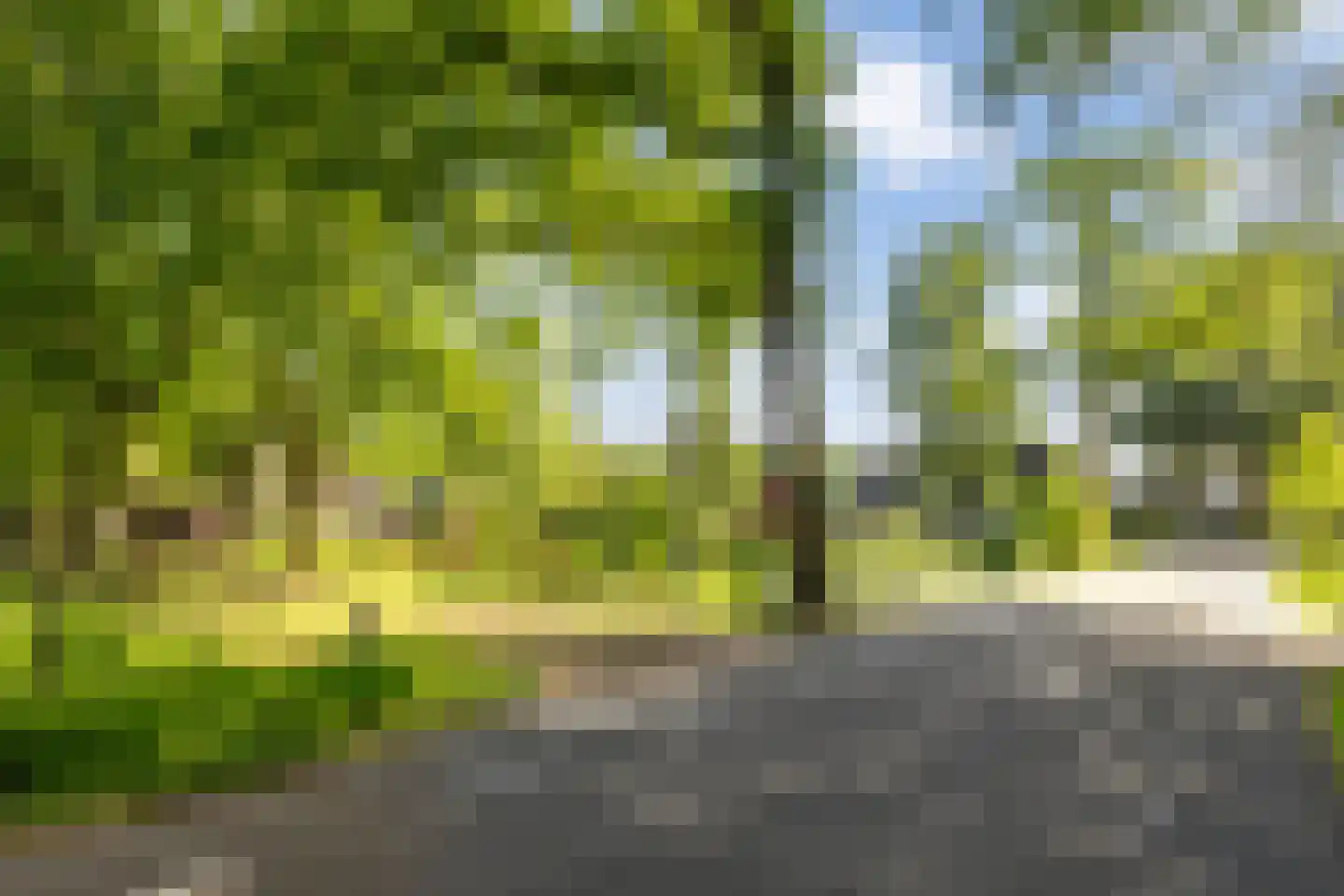 Deventerstraat 93 Vaassen thumbnail 60
