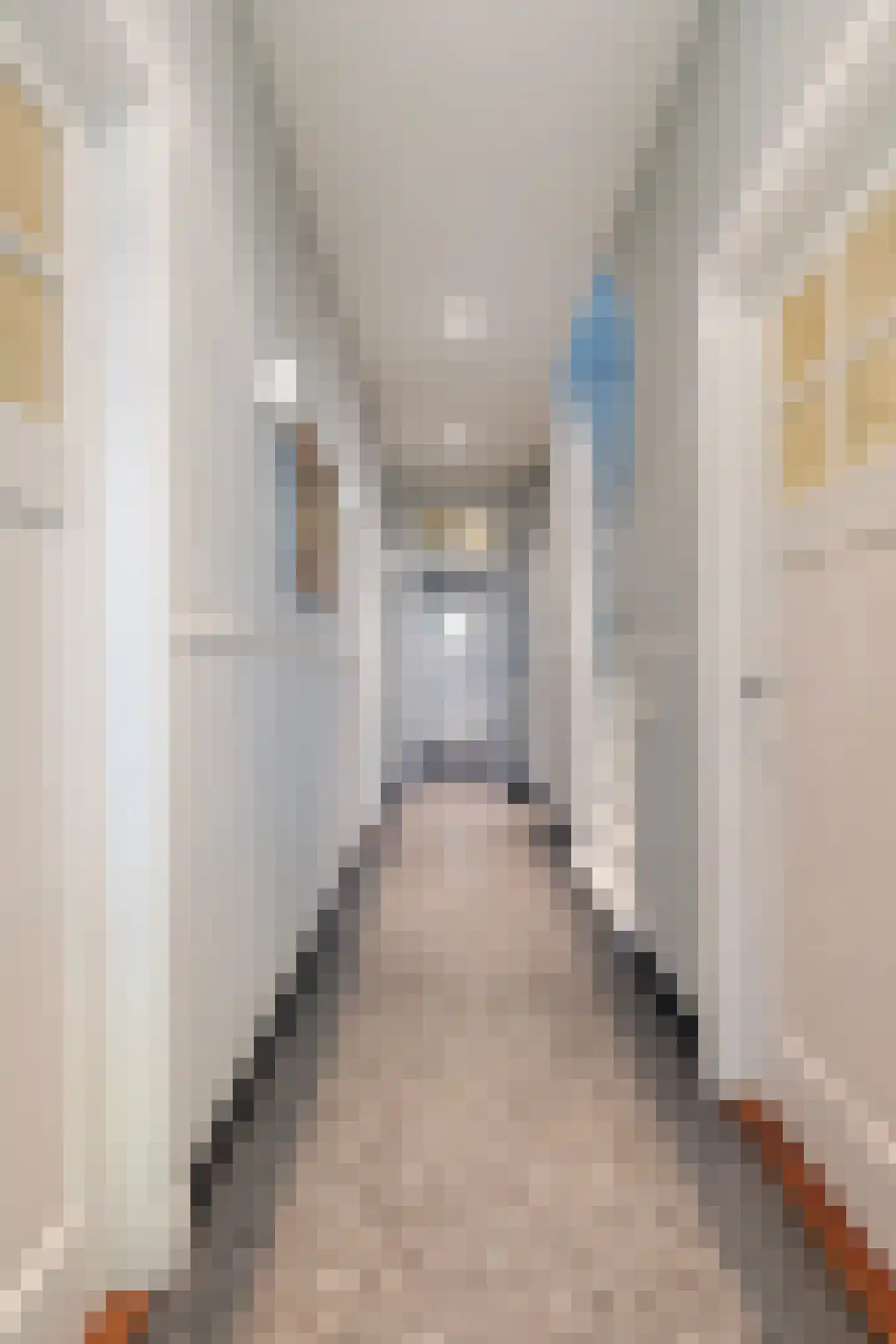 Deventerstraat 93 Vaassen thumbnail 8