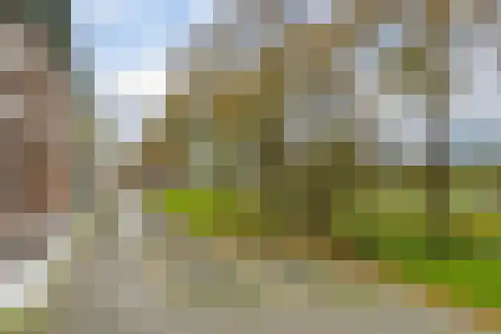 Deventerstraatweg 1 A Zwolle thumbnail 4