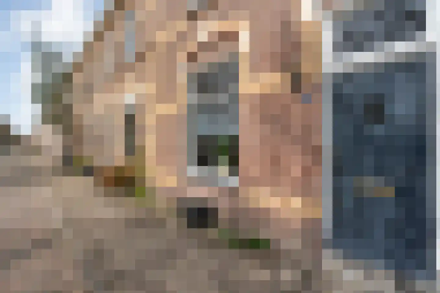 Deventerstraatweg 115 Zwolle thumbnail 4