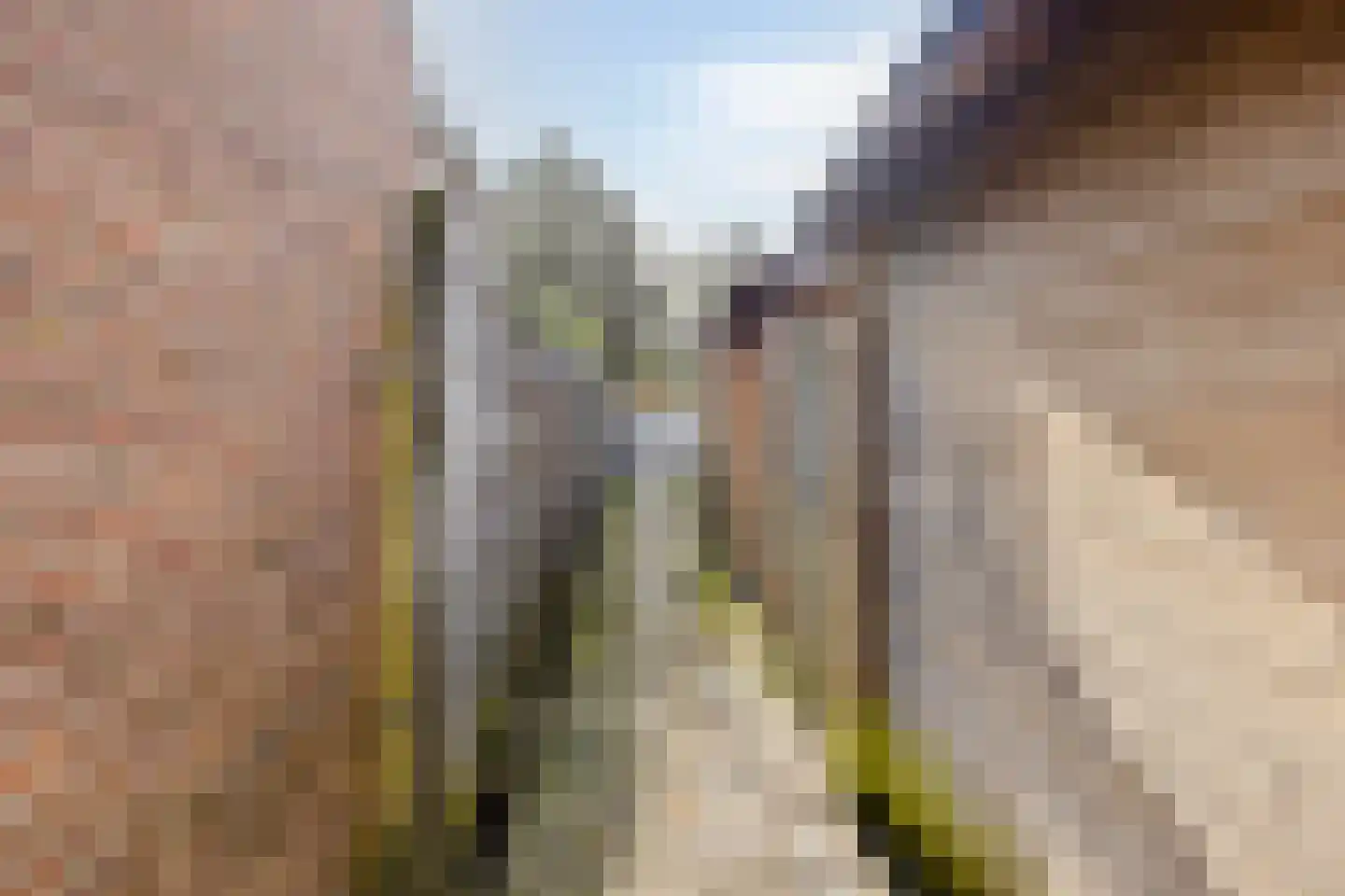 Deventerstraatweg 167 Zwolle thumbnail 31