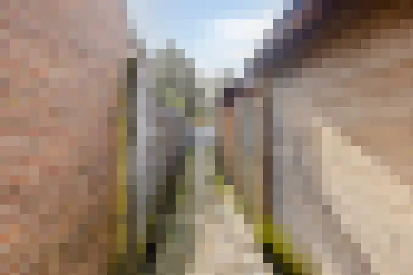 Deventerstraatweg 167 Zwolle thumbnail 36