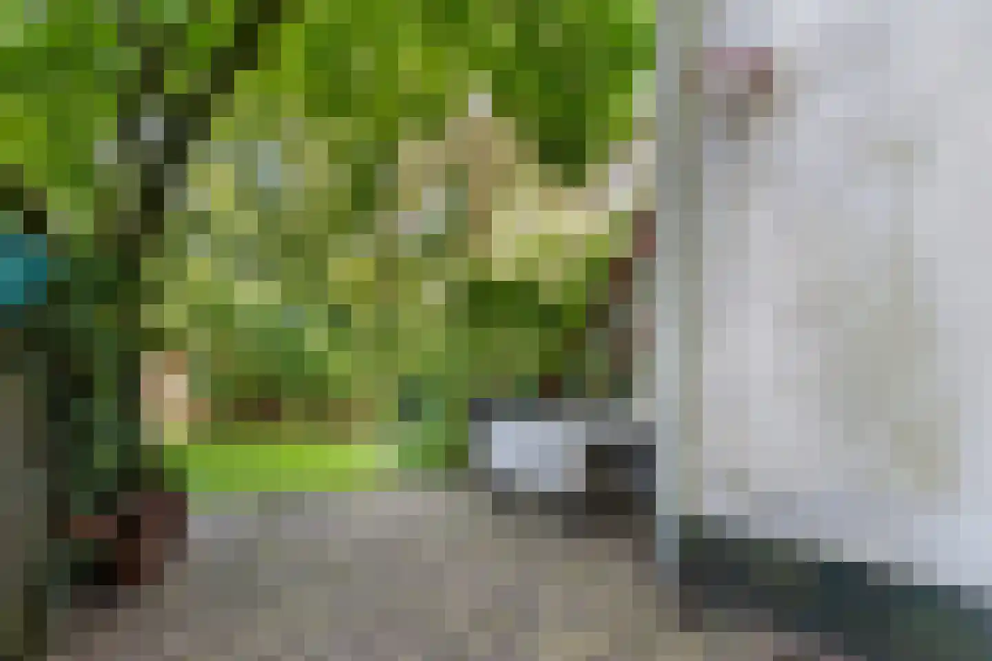 Deventerstraatweg 25 Zwolle thumbnail 44