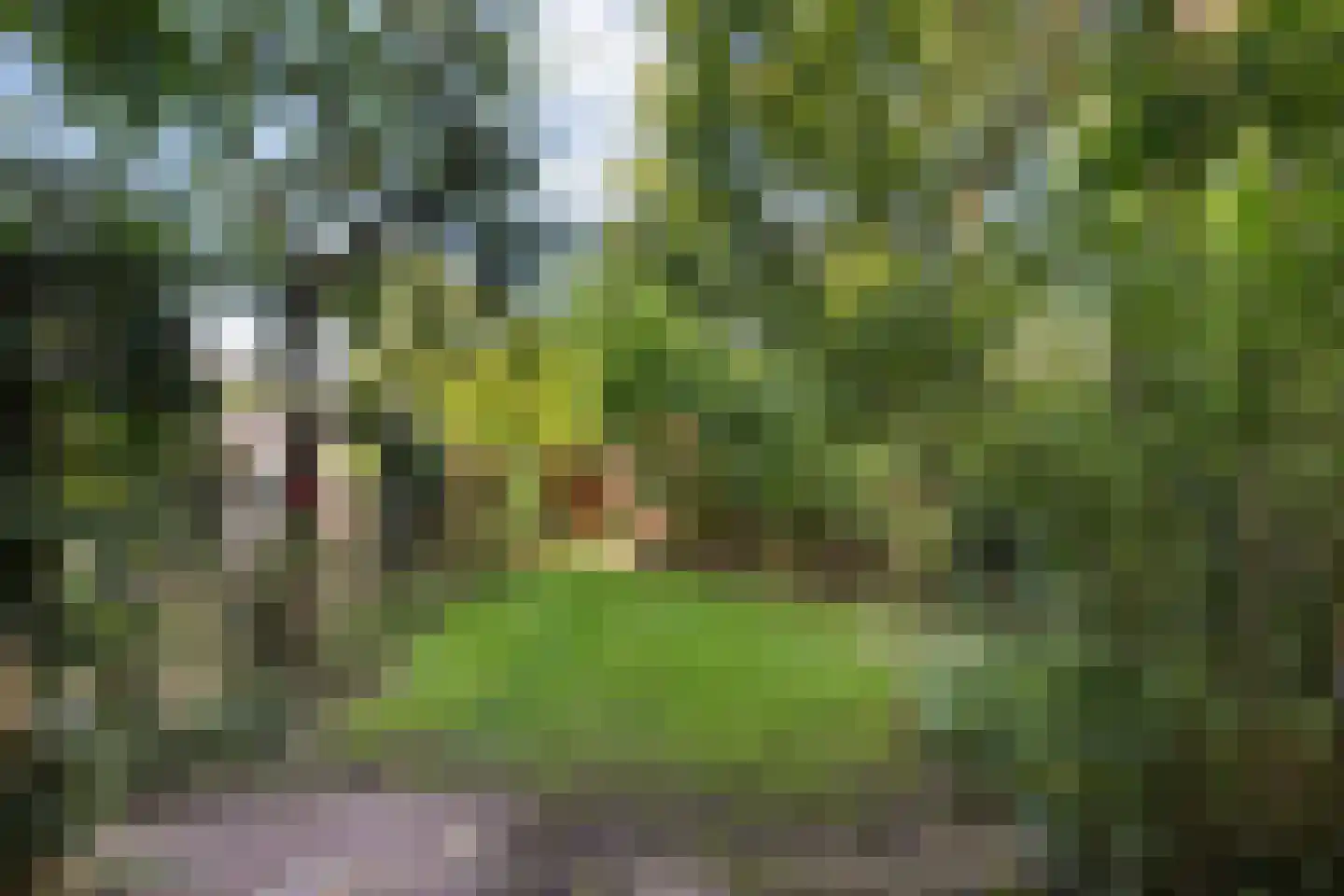 Deventerstraatweg 25 Zwolle thumbnail 45