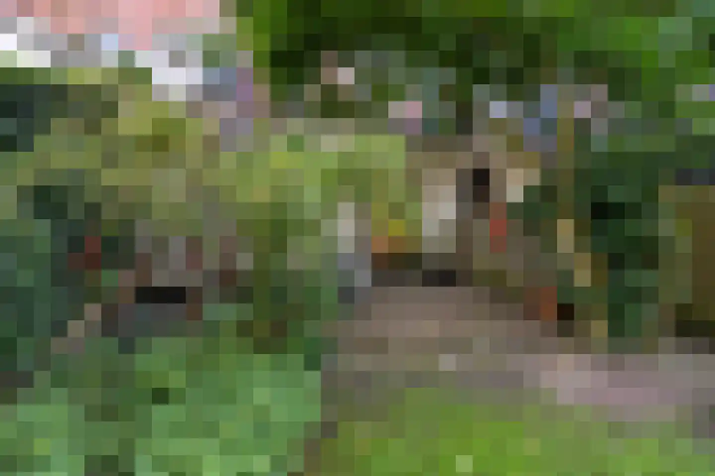 Deventerstraatweg 25 Zwolle thumbnail 48