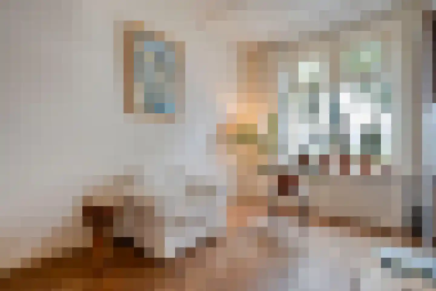 Deventerstraatweg 25 Zwolle thumbnail 8