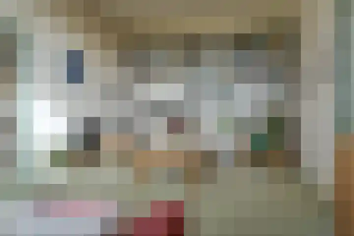 Deventerstraatweg 3 Zwolle thumbnail 12