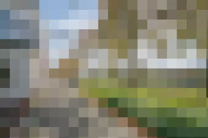 Deventerstraatweg 3 Zwolle thumbnail 4