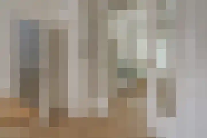 Deventerstraatweg 43 Zwolle thumbnail 11