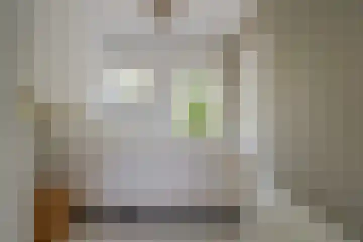 Deventerstraatweg 43 Zwolle thumbnail 32