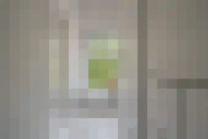 Deventerstraatweg 43 Zwolle thumbnail 36