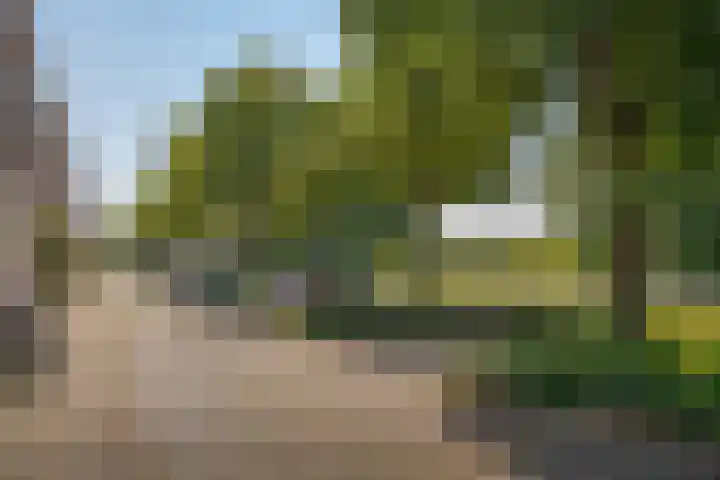 Deventerstraatweg 43 Zwolle thumbnail 6