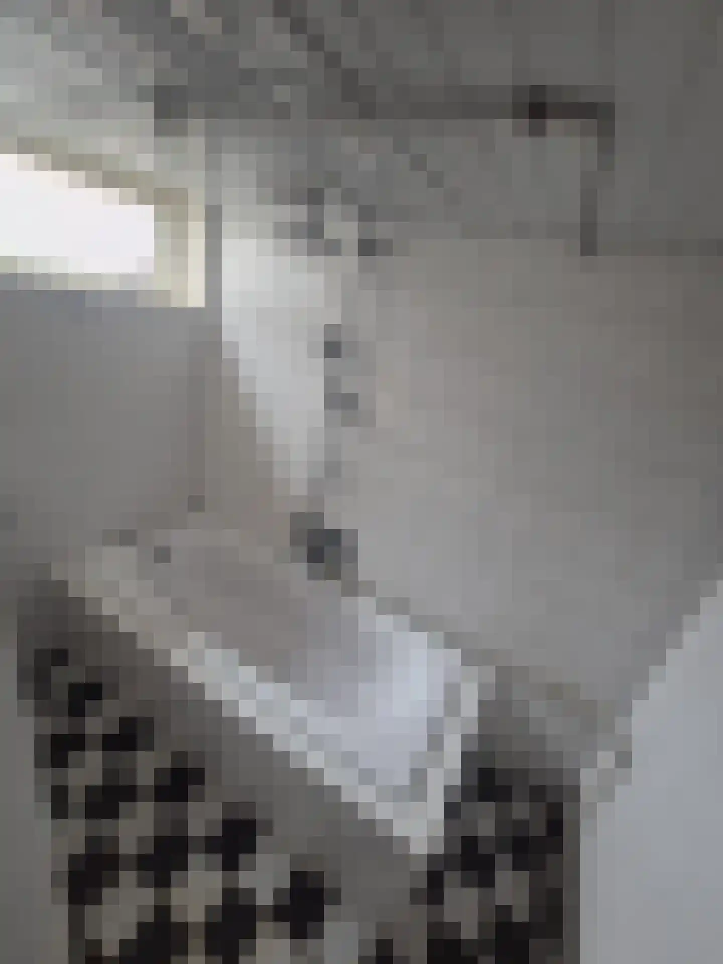 Deventerstraatweg 9 Zwolle thumbnail 19