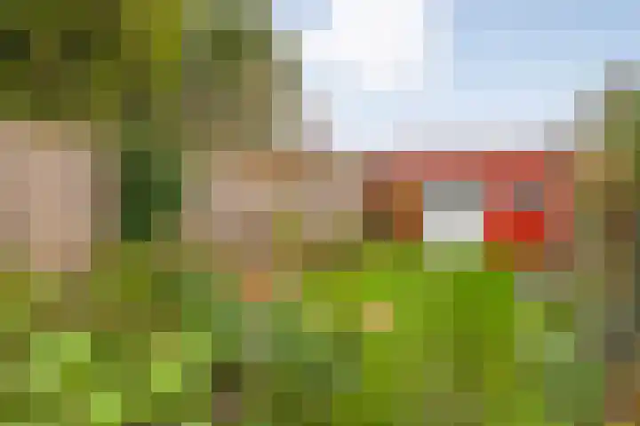 Deventerstraatweg 99 Zwolle thumbnail 23