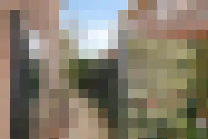 Deventerweg 112 Zutphen thumbnail 59