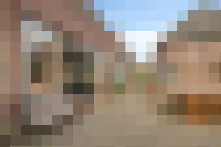 Deventerweg 112 Zutphen thumbnail 62
