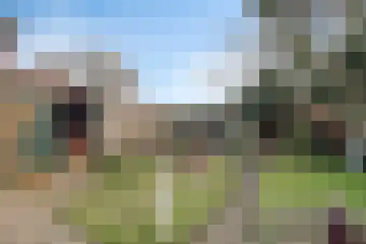 Deventerweg 112 Zutphen thumbnail 66