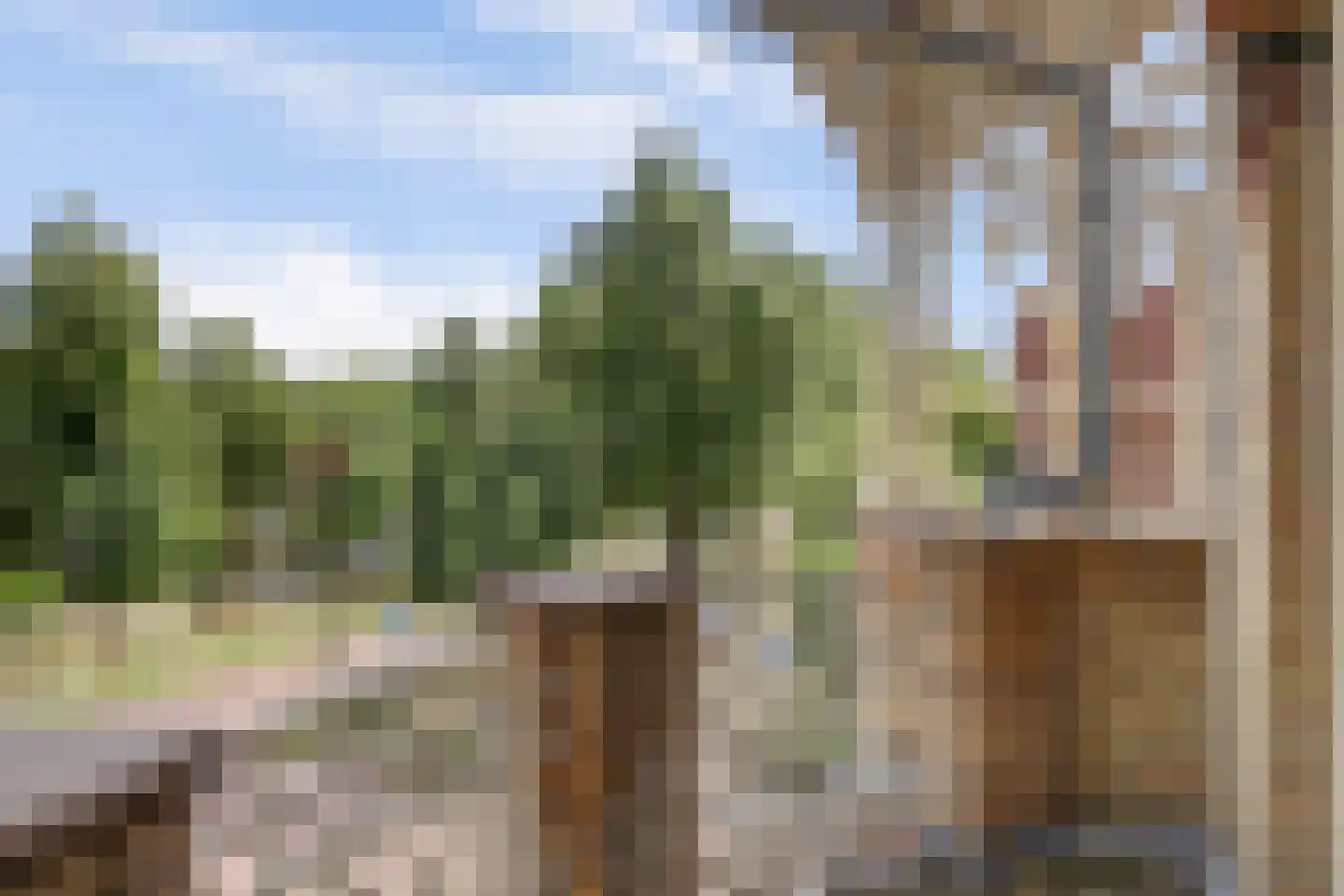 Deventerweg 113 Zutphen thumbnail 29