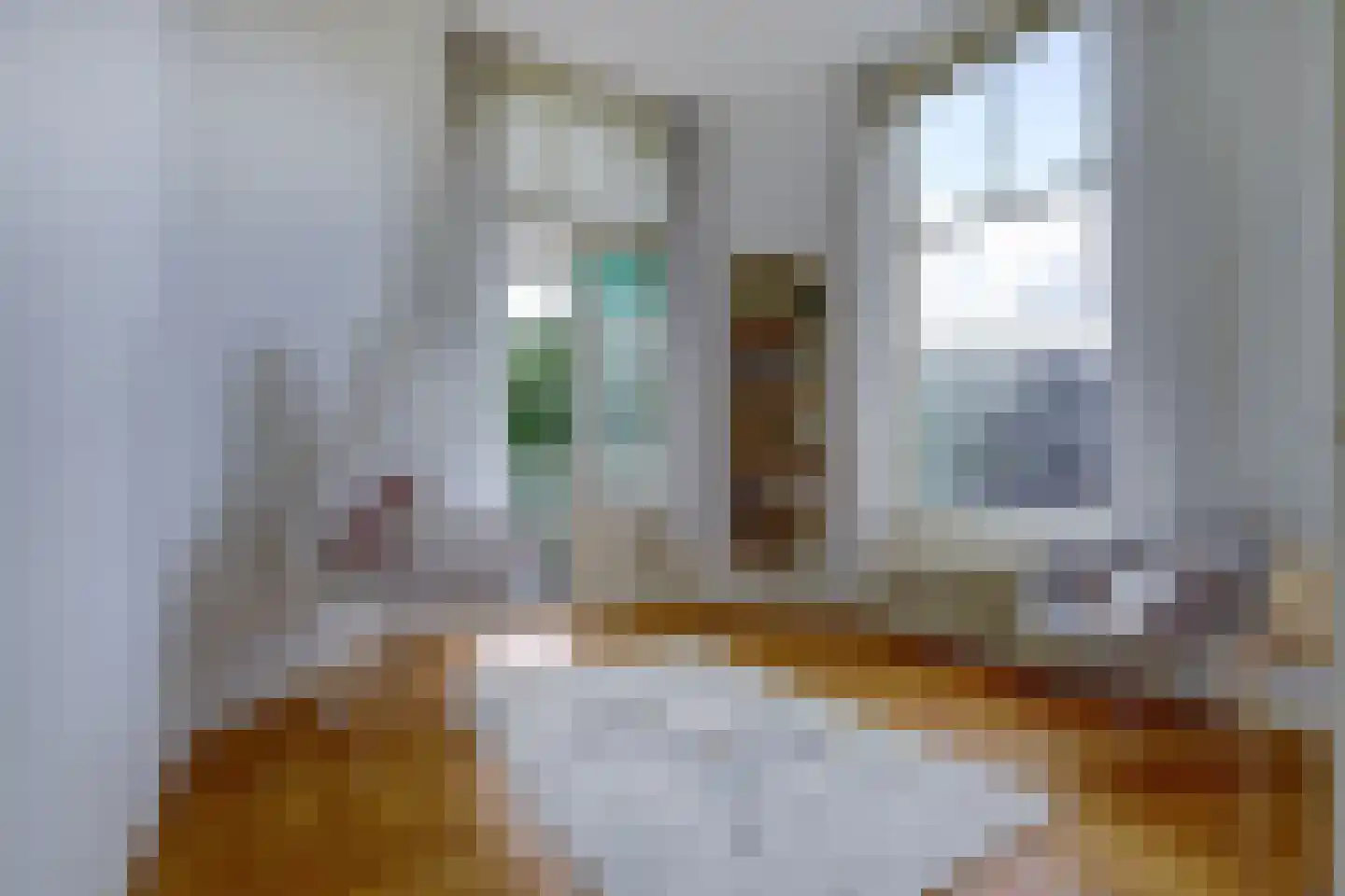 Deventerweg 113 Zutphen thumbnail 35