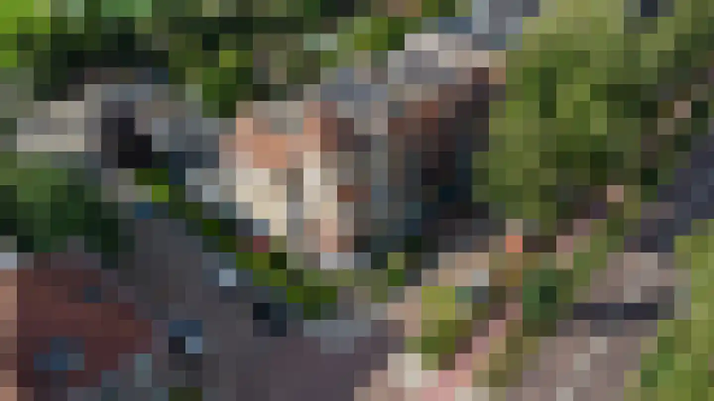 Deventerweg 113 Zutphen thumbnail 4