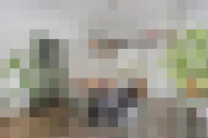 Deventerweg 115 Zutphen thumbnail 12