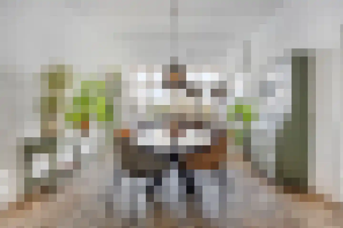 Deventerweg 115 Zutphen thumbnail 13