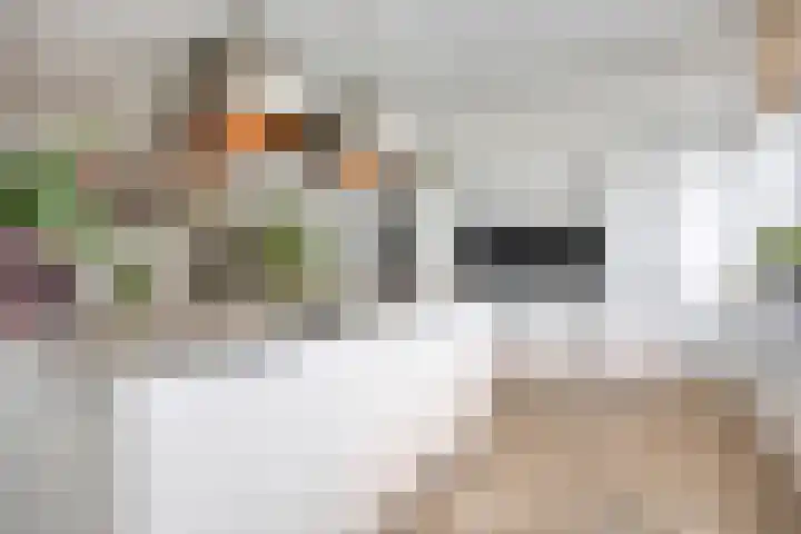 Deventerweg 115 Zutphen thumbnail 18