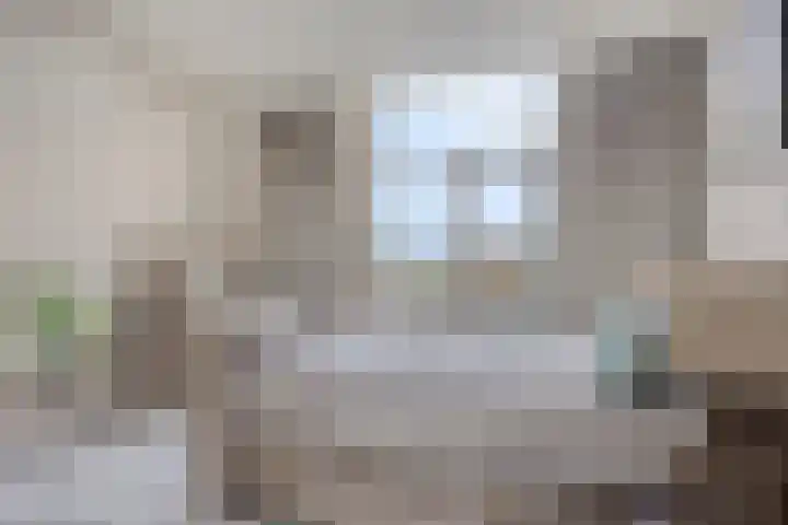 Deventerweg 115 Zutphen thumbnail 27
