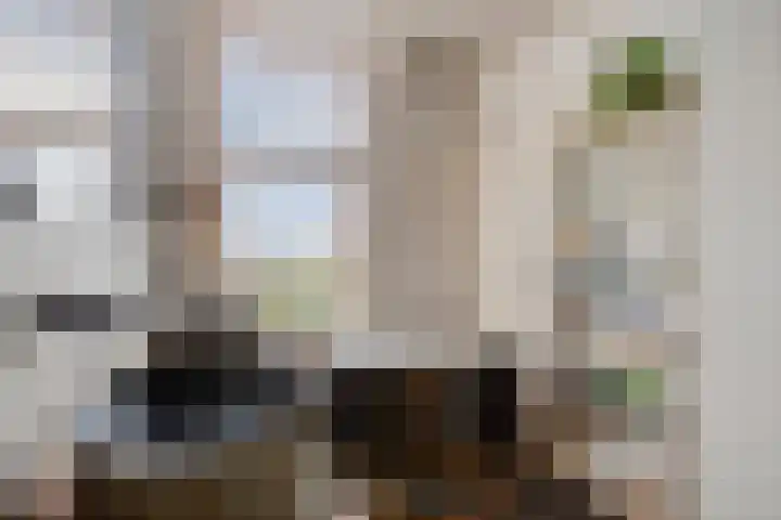 Deventerweg 115 Zutphen thumbnail 33