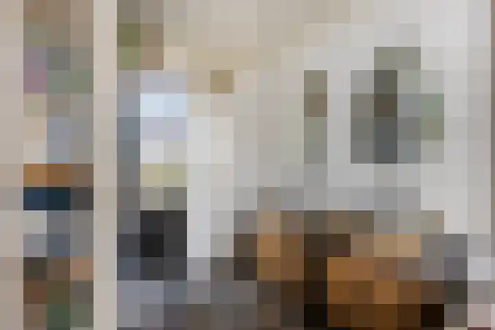 Deventerweg 115 Zutphen thumbnail 35
