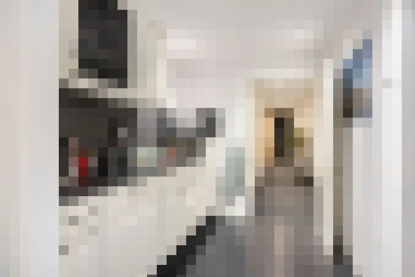 Deventerweg 115 Zutphen thumbnail 48