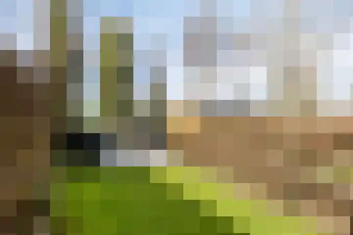 Deventerweg 115 Zutphen thumbnail 5